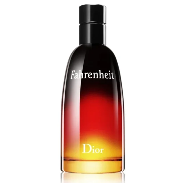 Fahrenheit | Bărbați, 100 ML